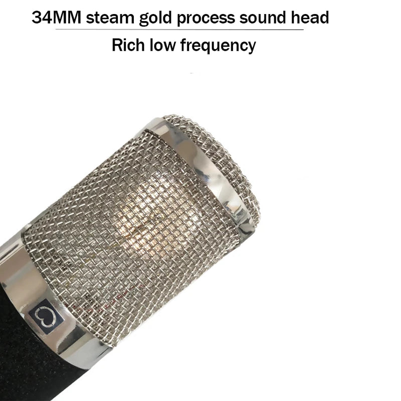 AK47 Electronic tube microphone pro audio broadcast  Recording Vocal studio recording equipmen condensador for pc  microphone