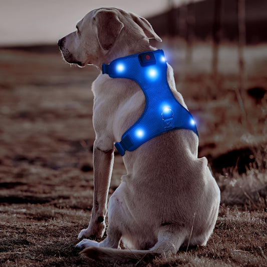 Light Up LED Dog Harness - No Pull Rechargeable Dog Vest with Detachable Battery, Washable Nylon Harness for Nighttime Walking & Camping, Multi-Color Options for Small Medium Large Dogs, Reflective Safety Features, Outdoor Pet Gear, Glowing Pet Accessory